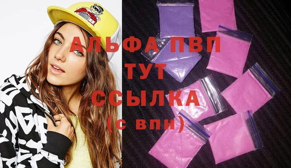 apvp Вяземский