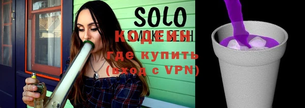 apvp Вяземский