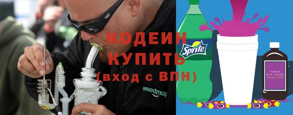 apvp Вяземский