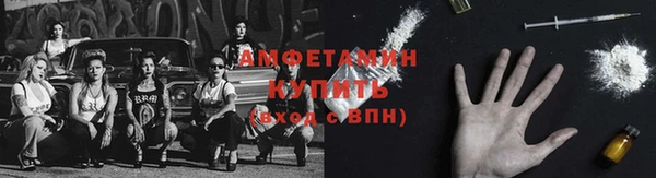 apvp Вяземский