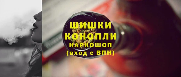 apvp Вяземский